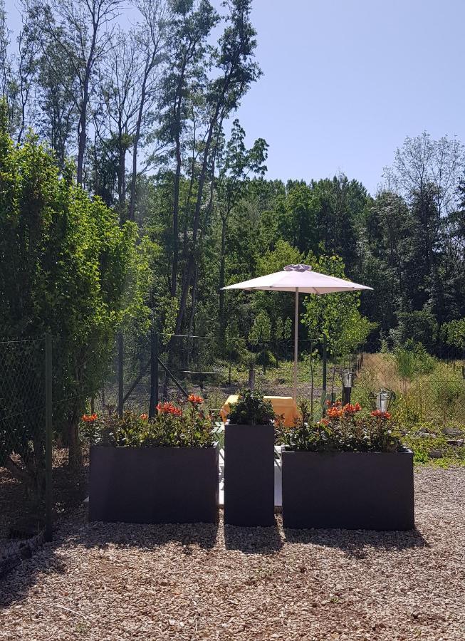 Agreable Petite Maison Proche Joigny Chamvres المظهر الخارجي الصورة